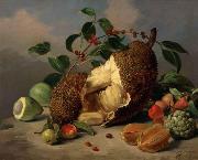 Mota, Jose de la Still life with fruit oil